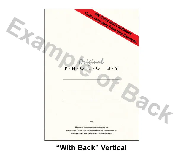 779 - Bright White, Seasons Greetings, Vertical, set of 10 cards