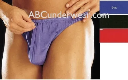 Luxurious Silk Zipper Thong for Discerning Gentlemen