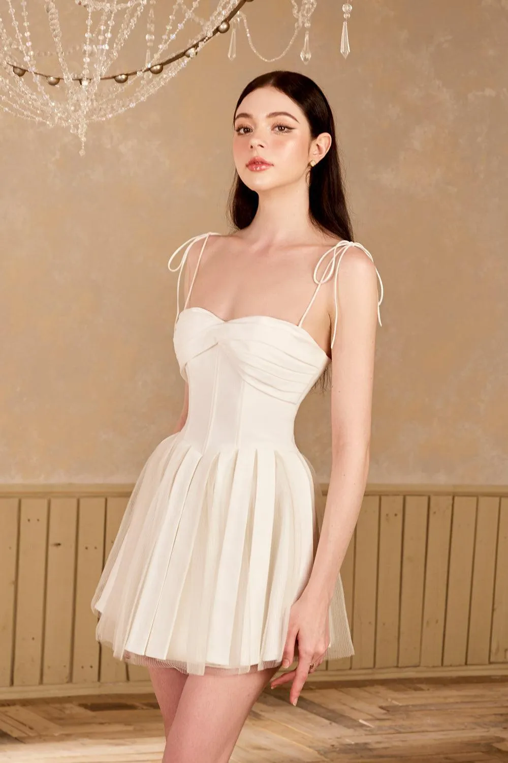 Midnight Kiss Fit and Flare Pleated Mesh Taffeta Mini Dress