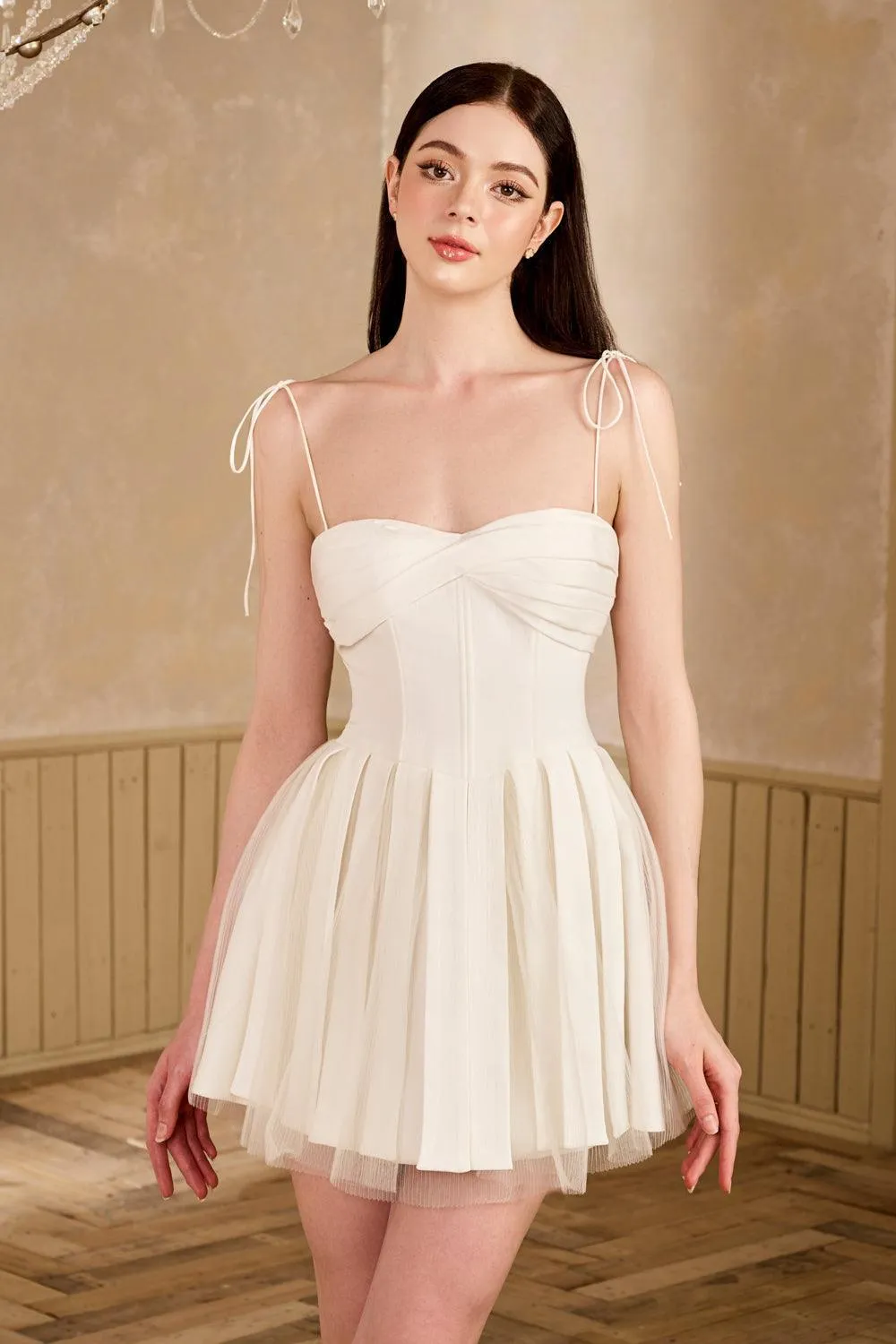 Midnight Kiss Fit and Flare Pleated Mesh Taffeta Mini Dress
