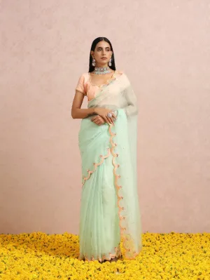 Mint Green Silk Organza Saree With Peach embroidered Blouse (Set of 2)