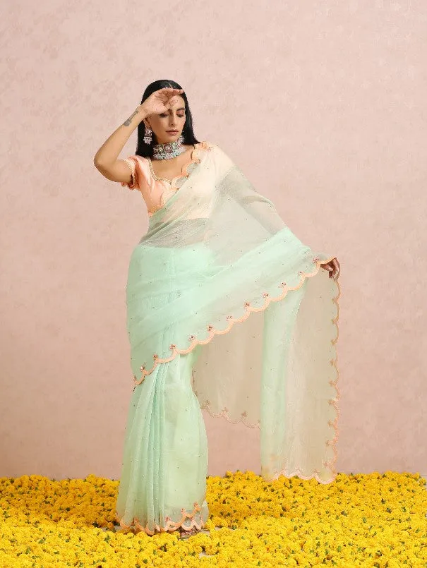 Mint Green Silk Organza Saree With Peach embroidered Blouse (Set of 2)