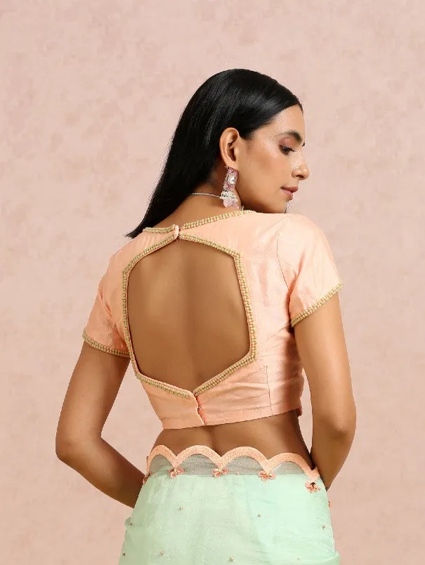 Mint Green Silk Organza Saree With Peach embroidered Blouse (Set of 2)