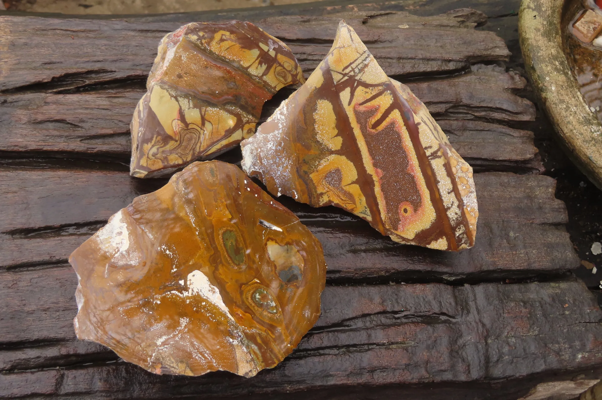 Polished On One Side Nguni Jasper Specimens x 3 From Prieska, South Africa